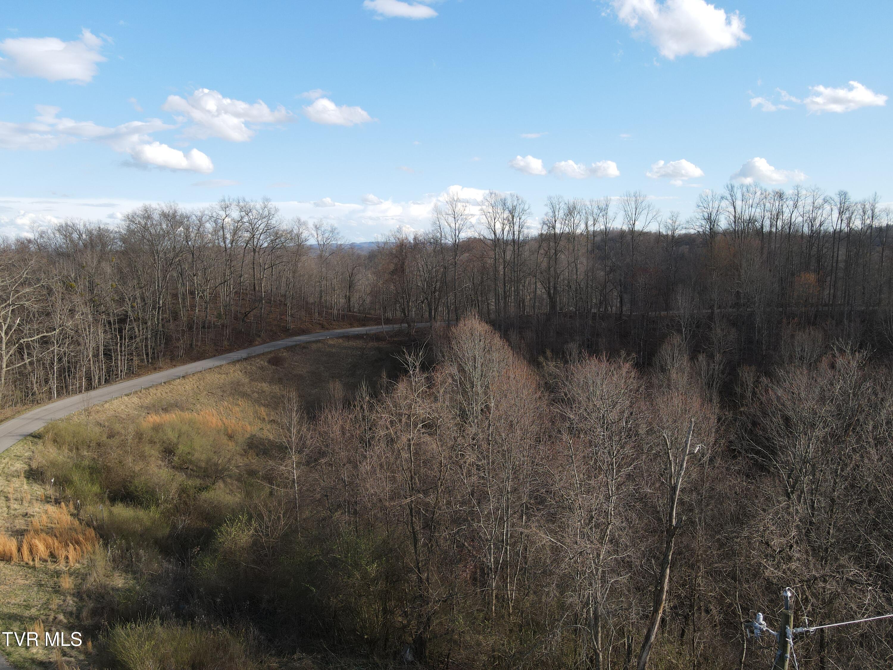 3849 Nealy Ridge Clinchco, VA 24226 - Photo 46 of 64 DJI_0422