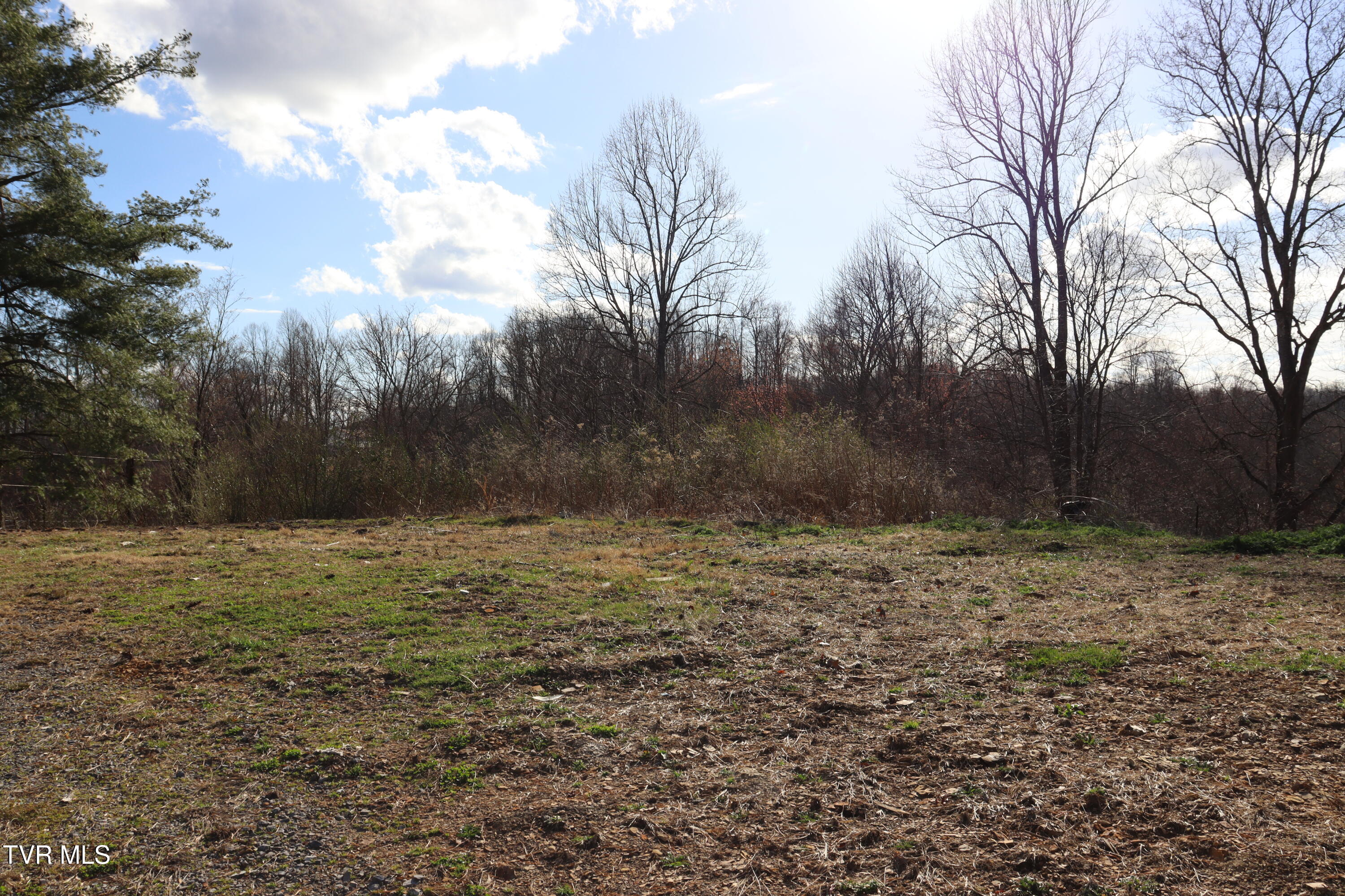 3849 Nealy Ridge Clinchco, VA 24226 - Photo 50 of 64 IMG_0791