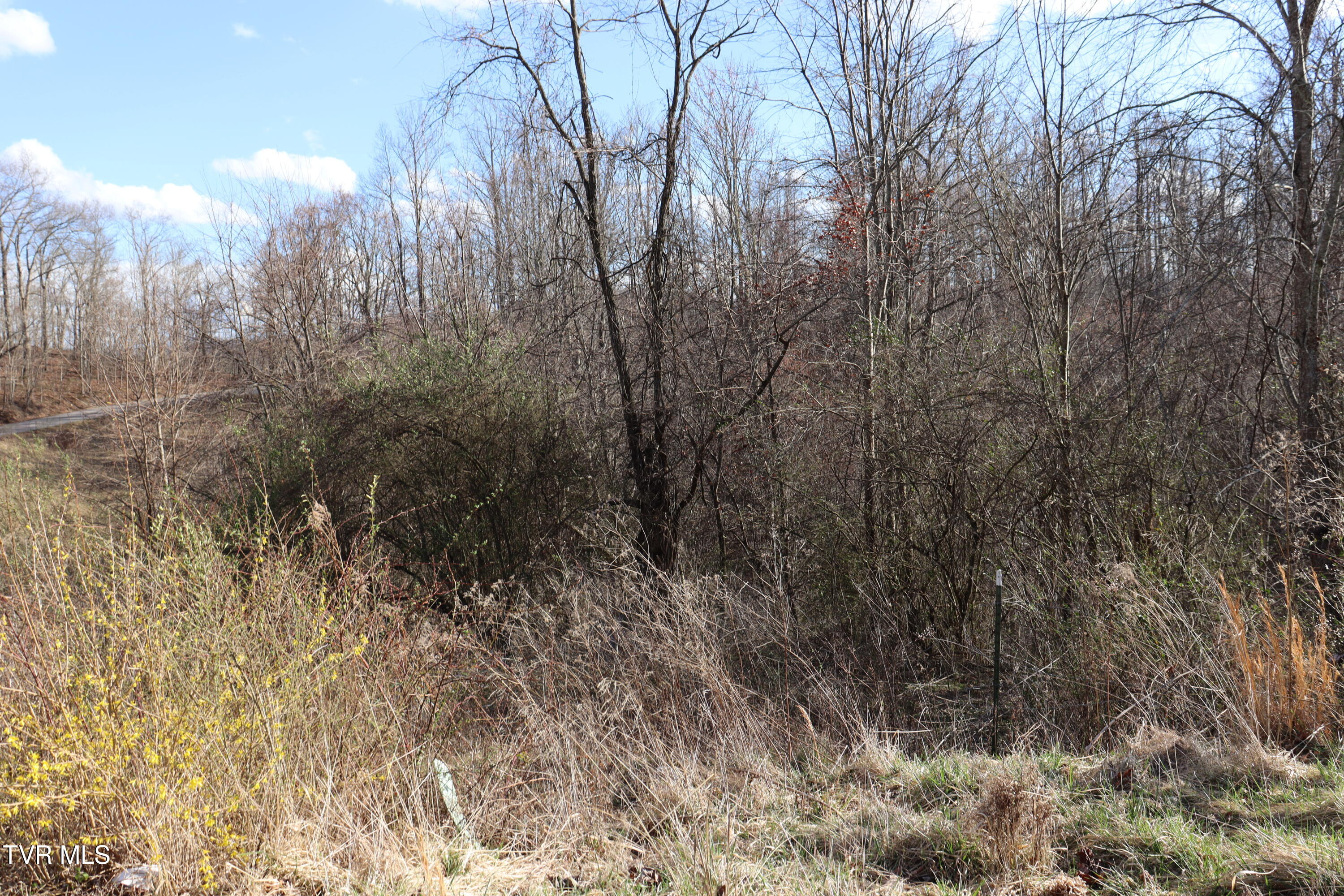 3849 Nealy Ridge Clinchco, VA 24226 - Photo 52 of 64 IMG_0835