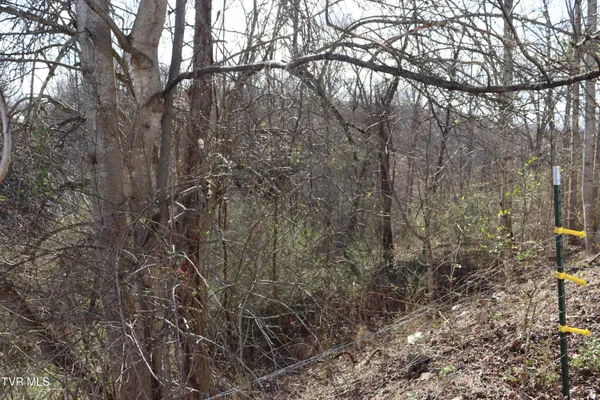 $102,900 | 3849 Nealy Ridge, Clinchco, VA 24226