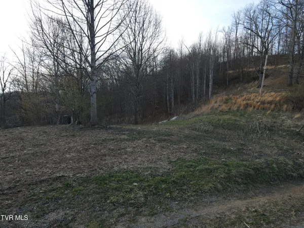 $102,900 | 3849 Nealy Ridge, Clinchco, VA 24226