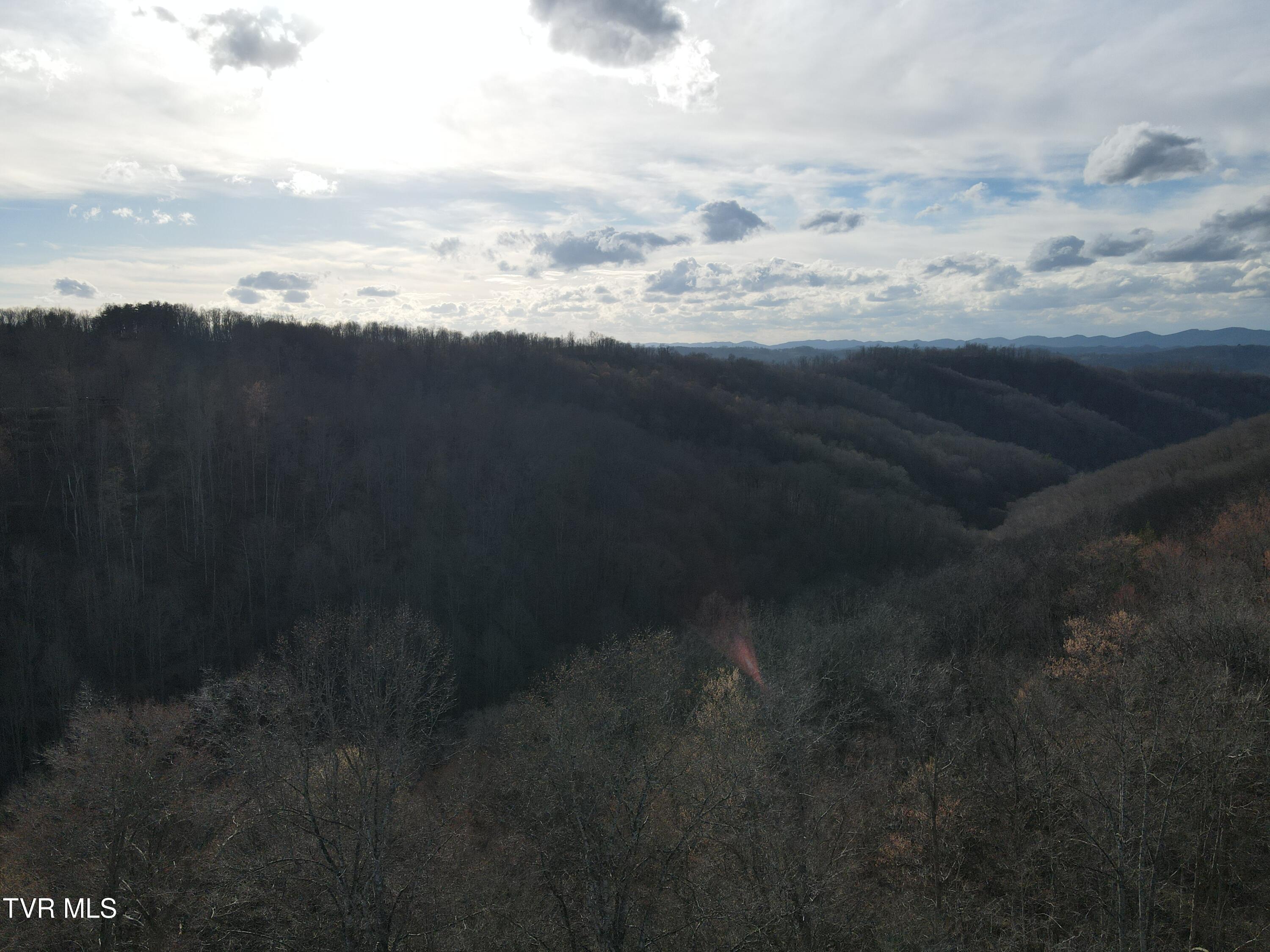 3849 Nealy Ridge Clinchco, VA 24226 - Photo 59 of 64 DJI_0417