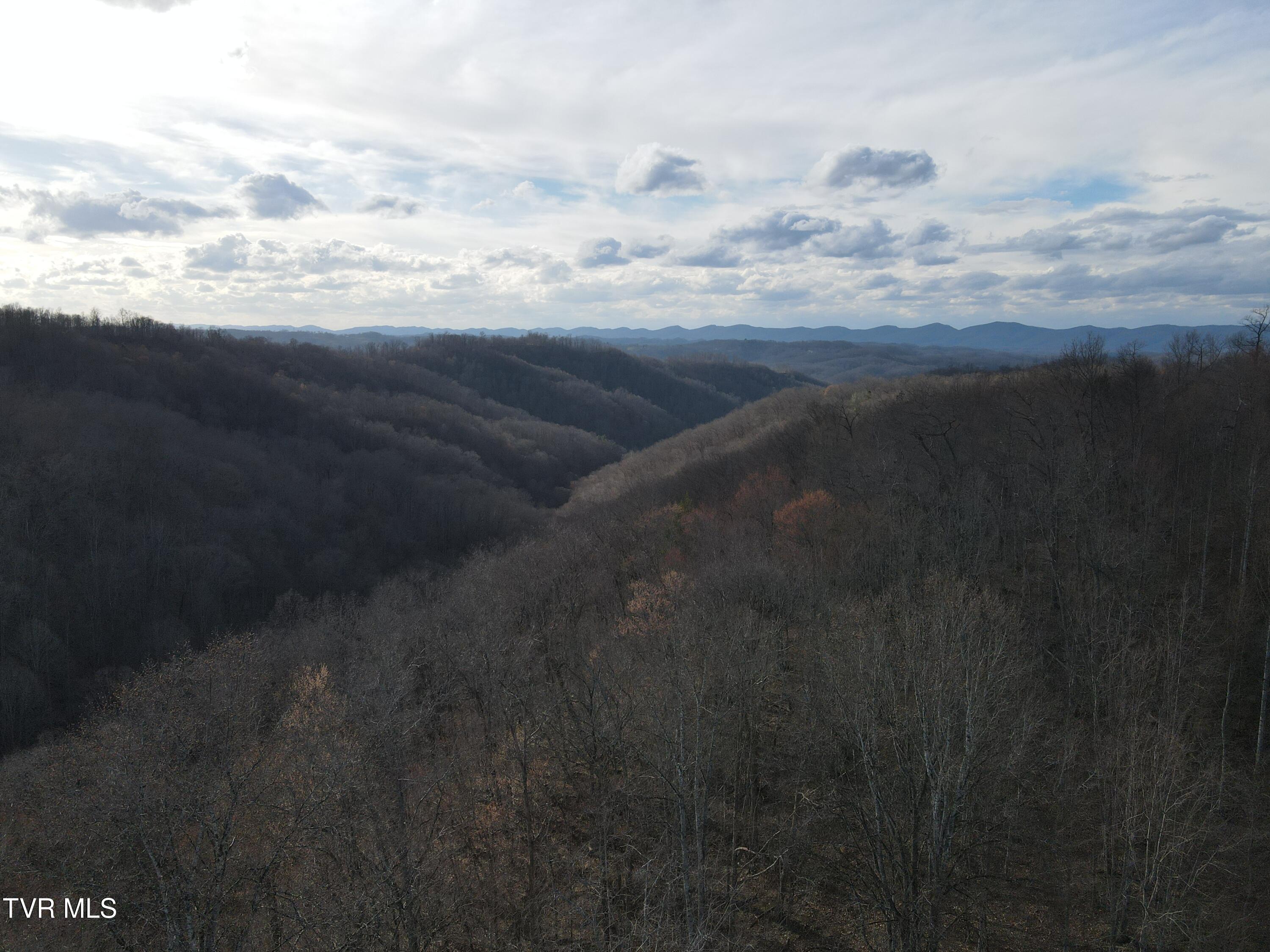 3849 Nealy Ridge Clinchco, VA 24226 - Photo 61 of 64 DJI_0415