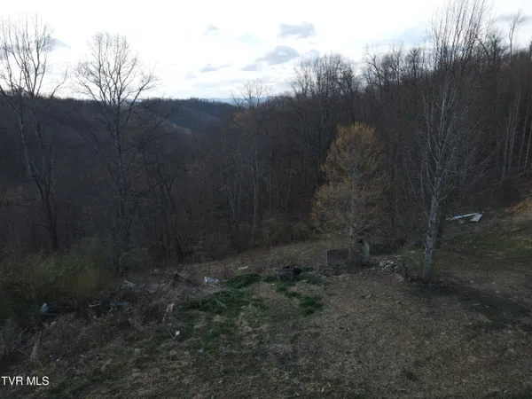 $102,900 | 3849 Nealy Ridge, Clinchco, VA 24226