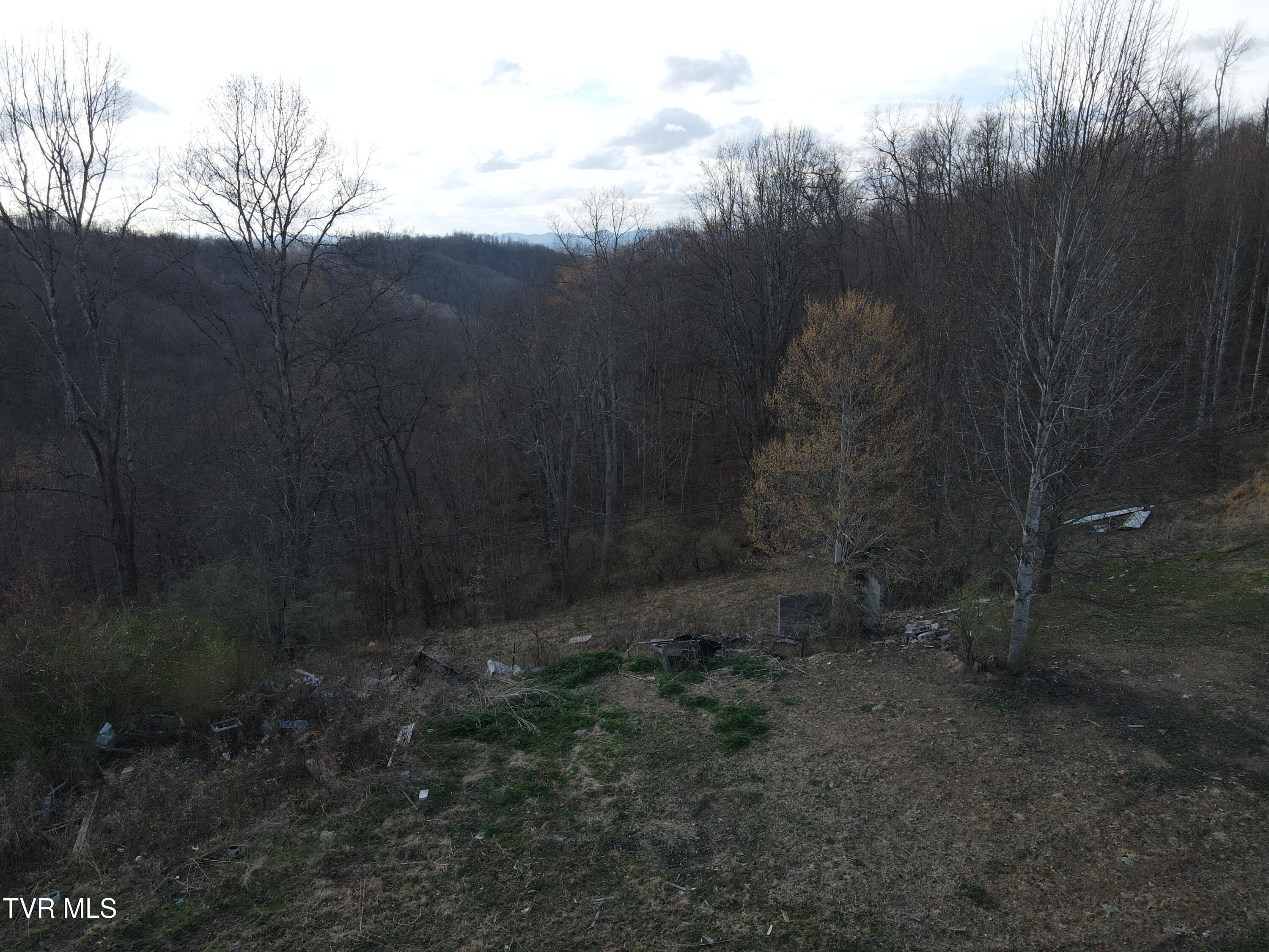 3849 Nealy Ridge Clinchco, VA 24226 - Photo 63 of 64 DJI_0408