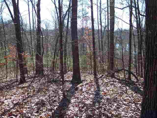 347 Big Rock Lake Road Pickens, SC 29671 - Photo 3 of 11