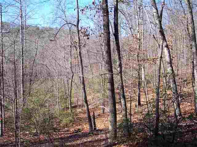 347 Big Rock Lake Road Pickens, SC 29671 - Photo 8 of 11