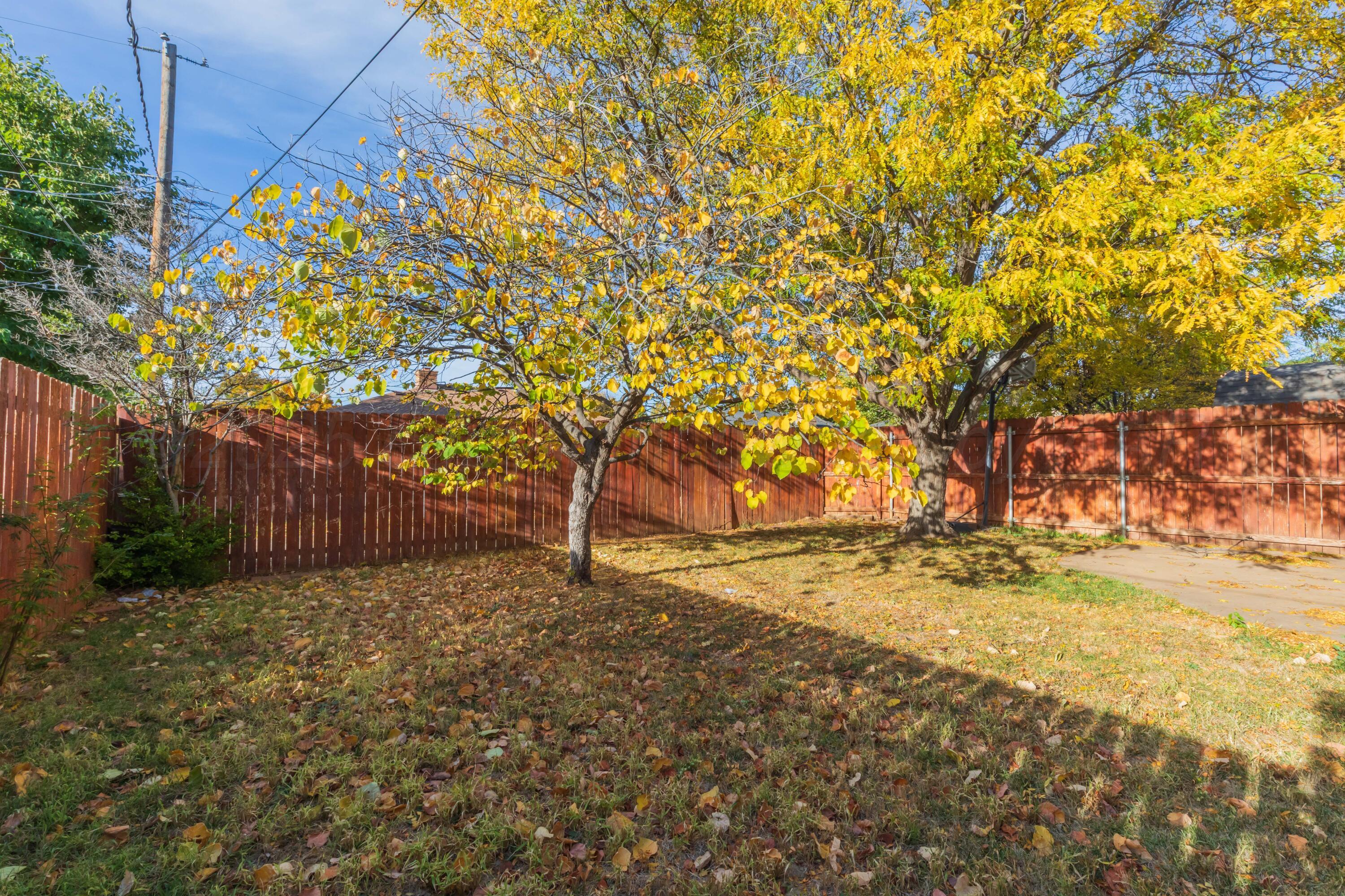 7805 Farrell Drive Amarillo, TX 79121 - Photo 20 of 20 a view of backyard with tree