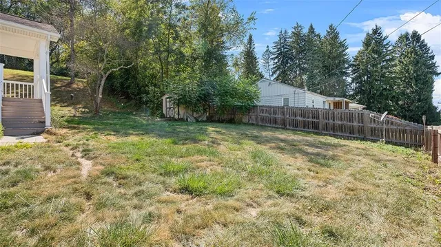 a backyard of a house with plants and large tree