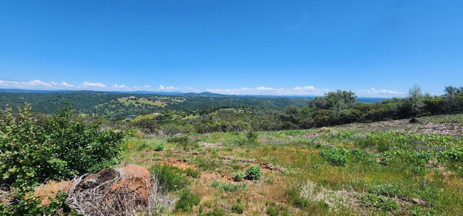 5 Jurgens Road Rescue, CA 95672 - Photo 13 of 25 a view of a city with lush green forest