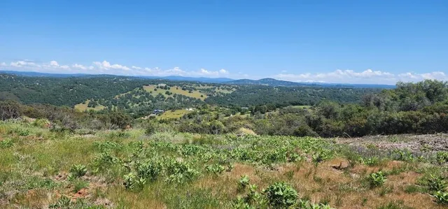 a view of a big yard with lots of green space