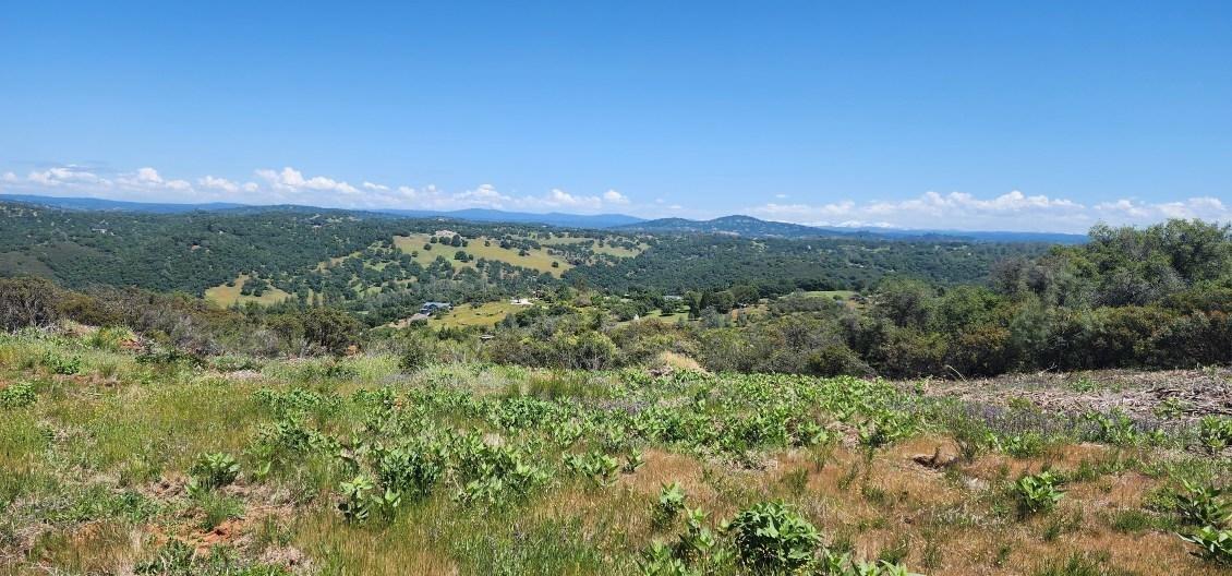 5 Jurgens Road Rescue, CA 95672 - Photo 14 of 25 a view of a city