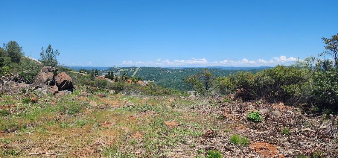 5 Jurgens Road Rescue, CA 95672 - Photo 15 of 25 a view of a big yard with lots of green space