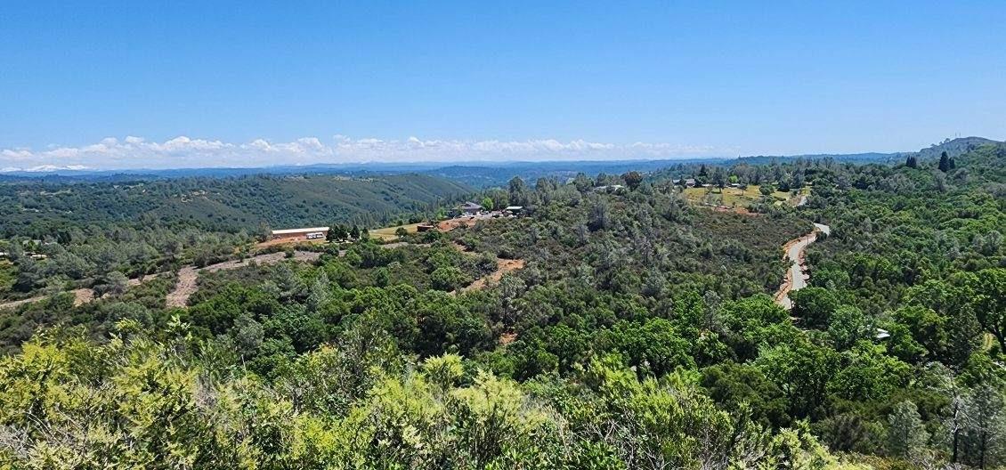 5 Jurgens Road Rescue, CA 95672 - Photo 17 of 25 a view of a city with lush green forest