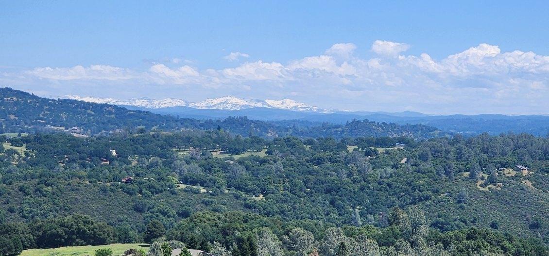 5 Jurgens Road Rescue, CA 95672 - Photo 19 of 25 a view of a bunch of trees in the distance