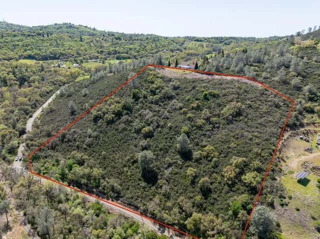 an aerial view of forest