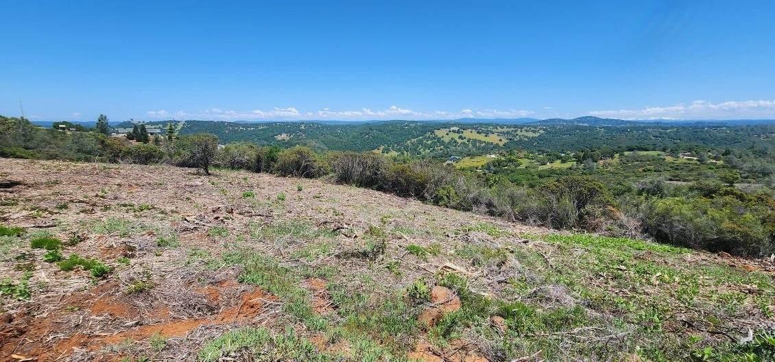 5 Jurgens Road Rescue, CA 95672 - Photo 21 of 25 a view of a dry yard