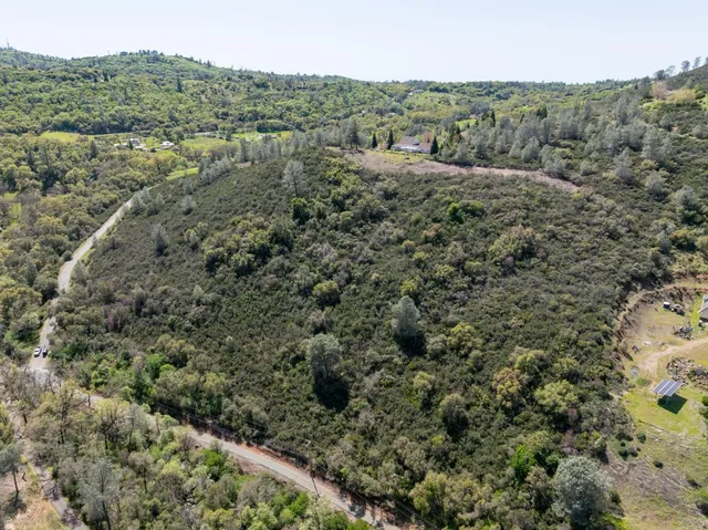 an aerial view of forest