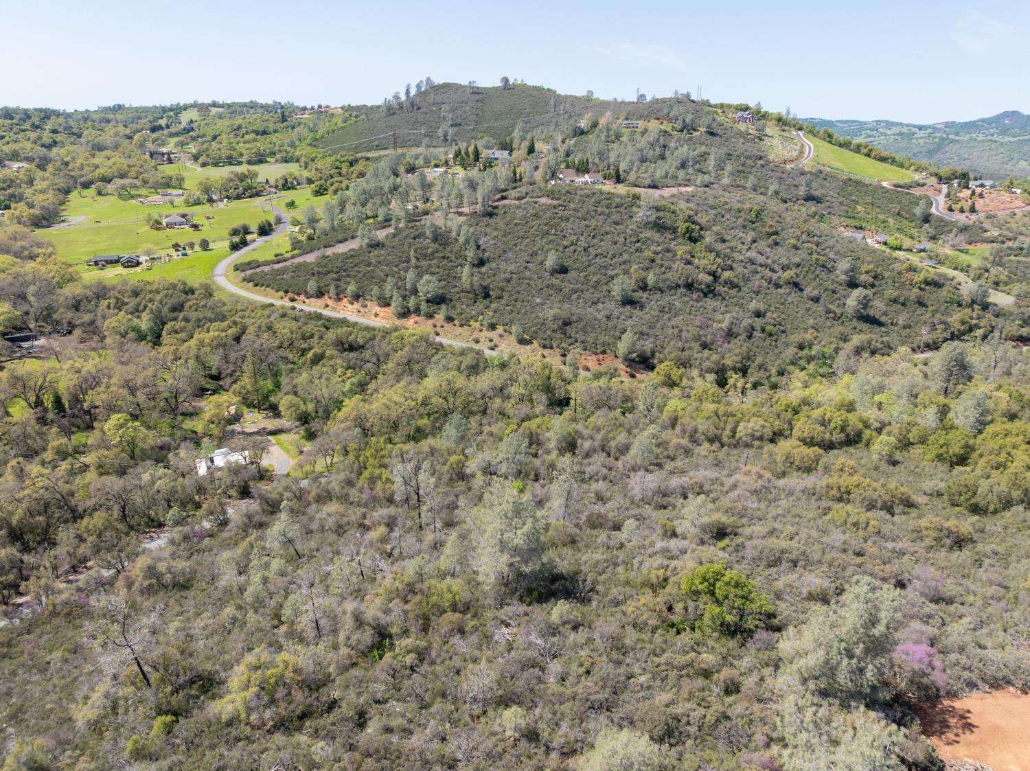 5 Jurgens Road Rescue, CA 95672 - Photo 9 of 25 a view of a field with mountains in the background