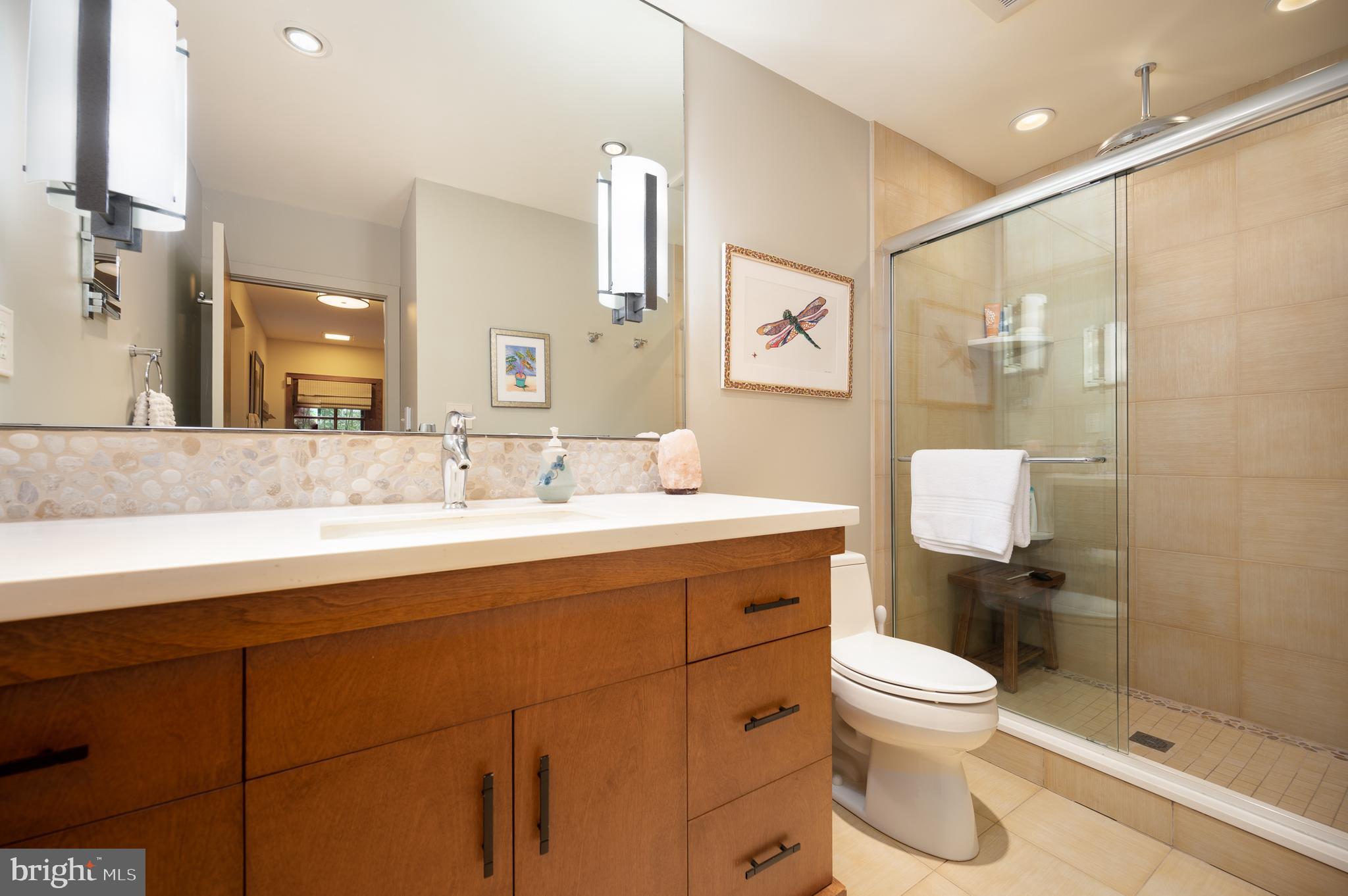 6 Boulder Road Wilmington, DE 19806 - Photo 35 of 50 Lower Level Bath