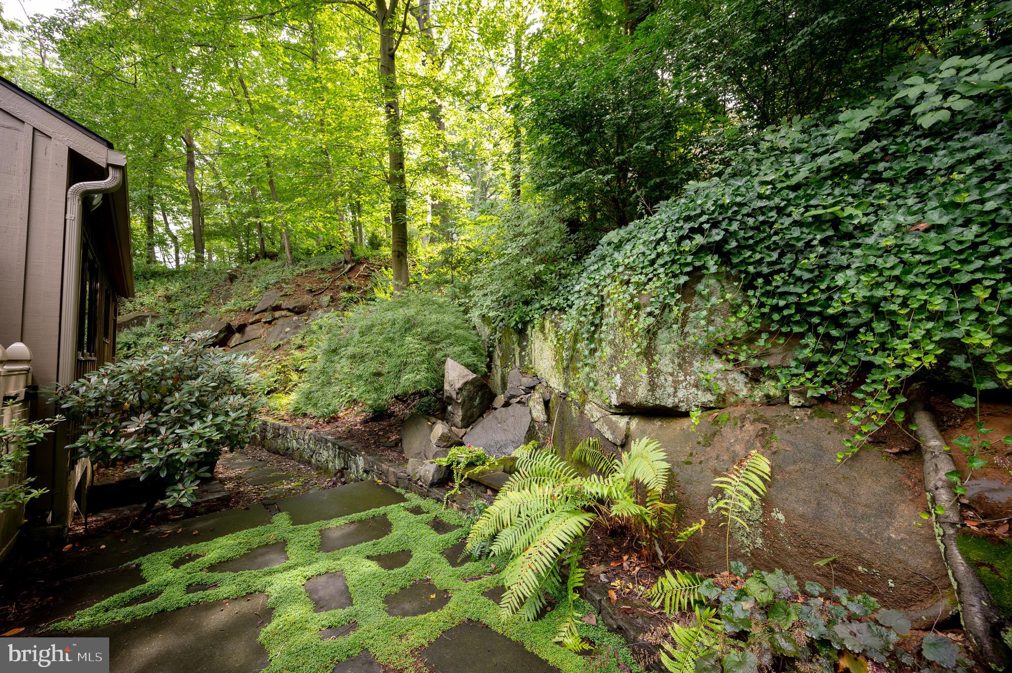 6 Boulder Road Wilmington, DE 19806 - Photo 42 of 50 Front Entrance Landscape