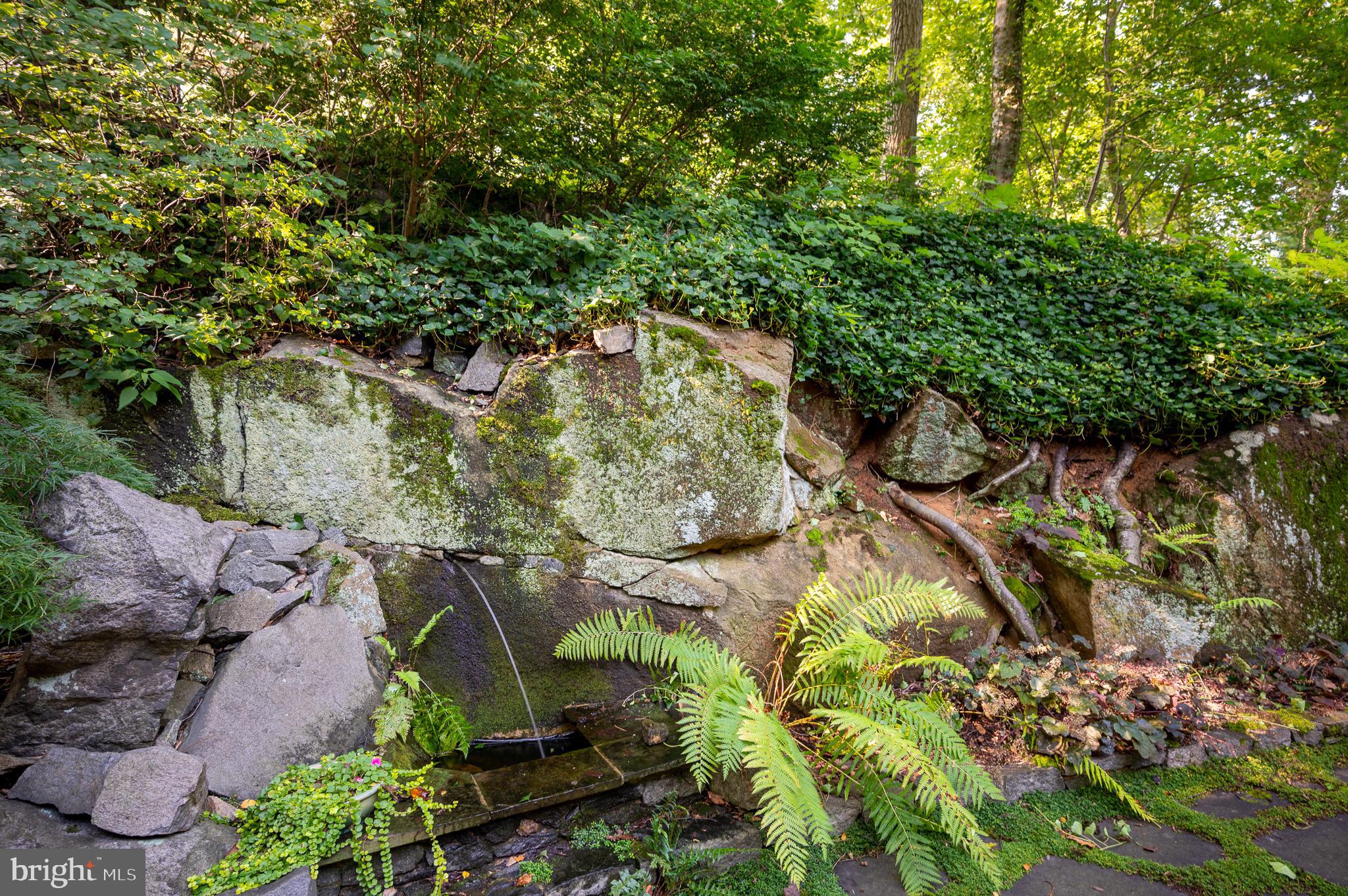 6 Boulder Road Wilmington, DE 19806 - Photo 47 of 50 Landscape