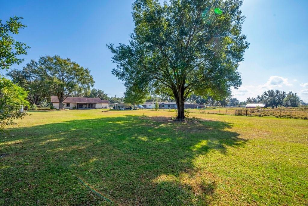 5301 Coronet Road Plant City, FL 33566 - Photo 33 of 38 a view of green field with trees in the background