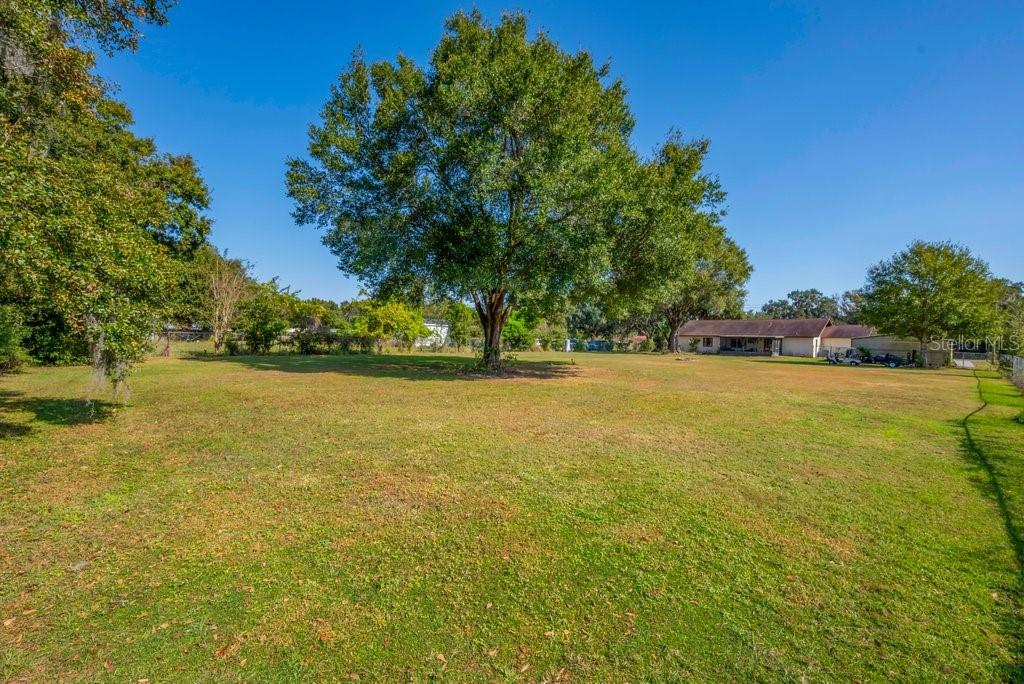 5301 Coronet Road Plant City, FL 33566 - Photo 34 of 38 a view of a yard with a large trees
