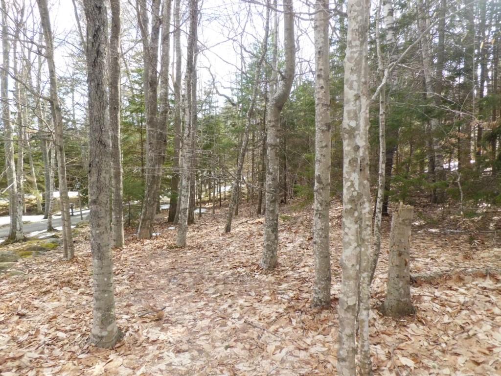 0 North No Fork Road Harpswell, ME 04079 - Photo 3 of 12 Photo
