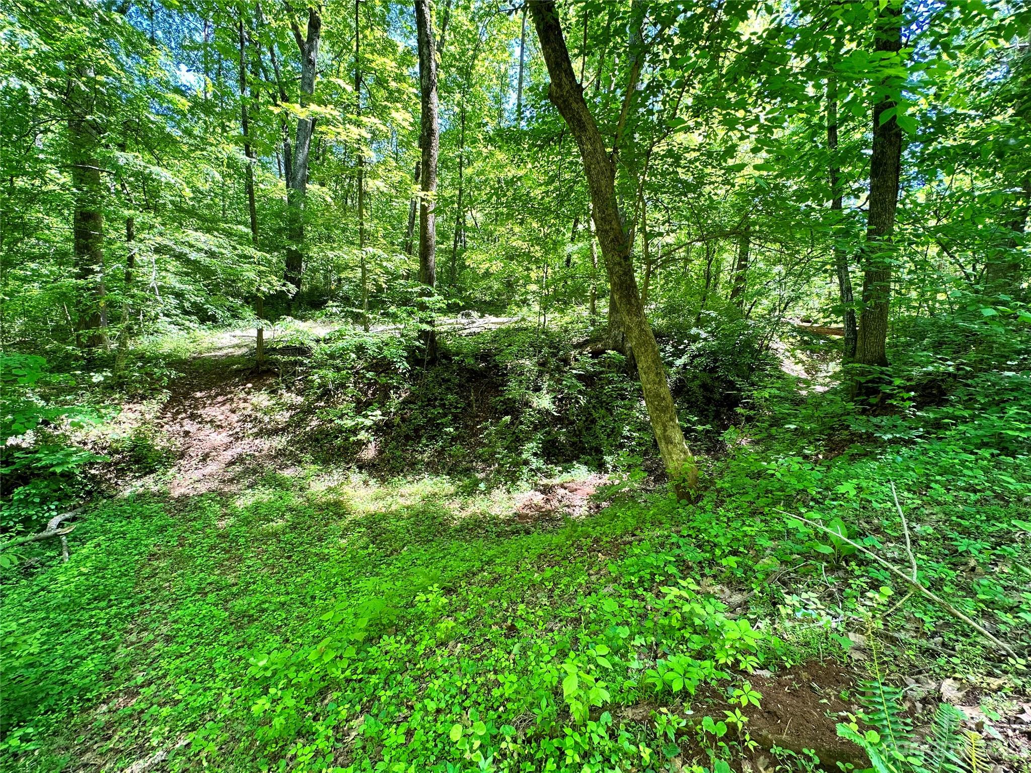 168 Rolling Road Lincolnton, NC 28092 - Photo 25 of 46 a view of a lush green forest with lawn chairs
