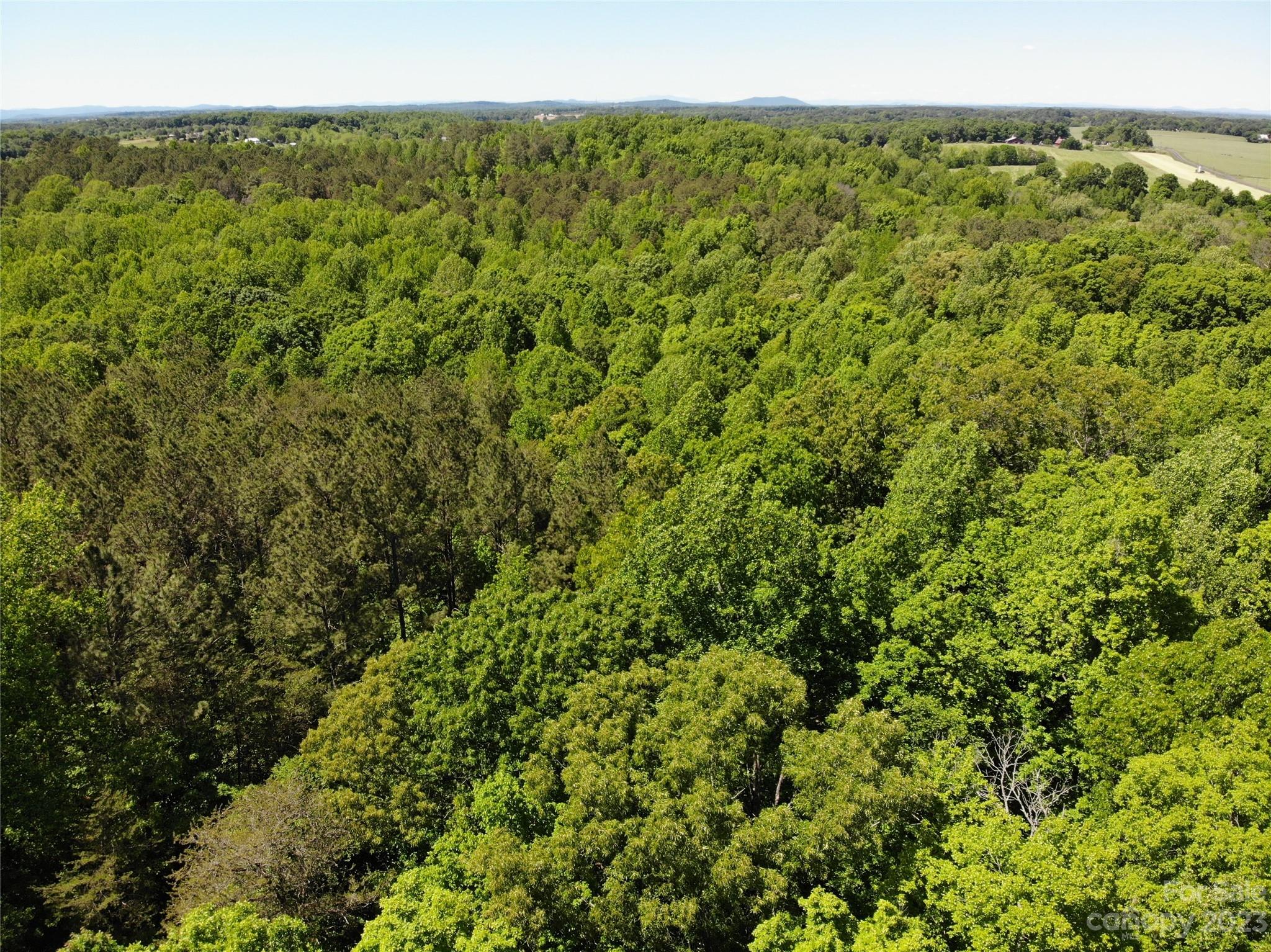168 Rolling Road Lincolnton, NC 28092 - Photo 5 of 46 a view of a green field