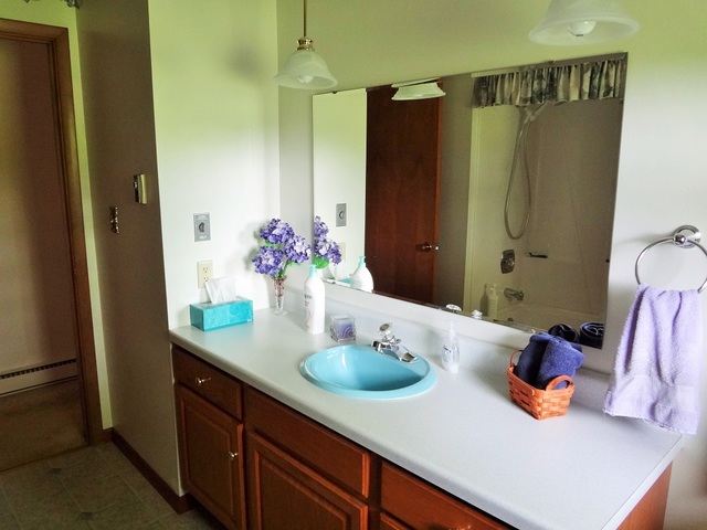 633 Timber Creek Road Dixon, IL 61021 - Photo 7 of 22