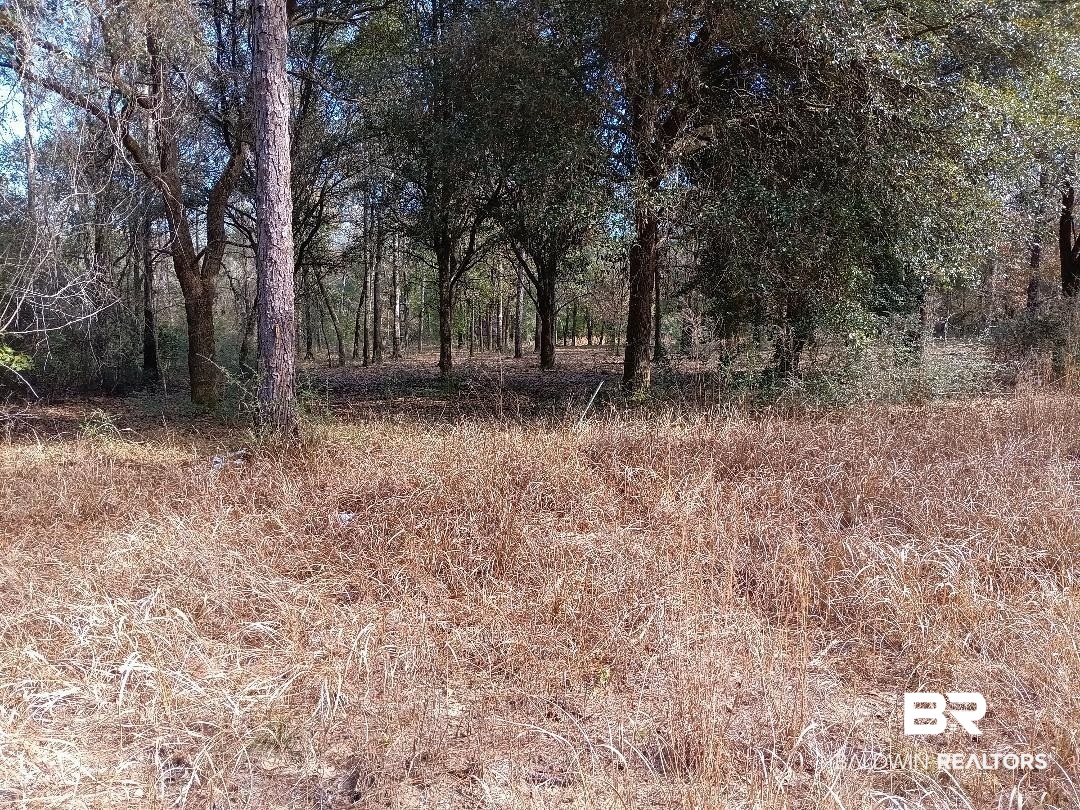 32799 Rustic Bend Robertsdale, AL 36567 - Photo 19 of 27 Gallery Image 19
