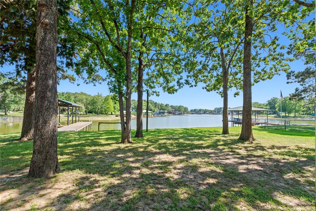 194 Indian Gap Road Mabank, TX 75156 - Photo 18 of 18 a view of a garden with a tree