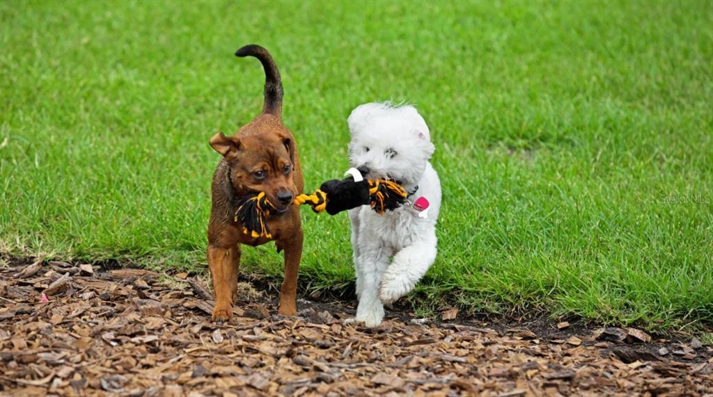 68 Enclave Avenue Palm Coast, FL 32164 - Photo 17 of 18