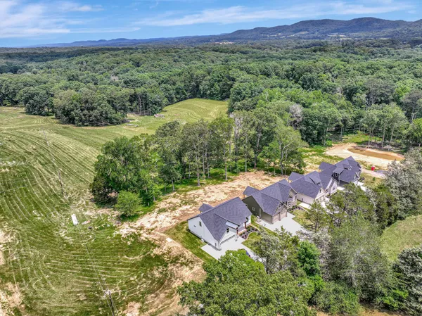 a view of a lush green outdoor space with a lake view