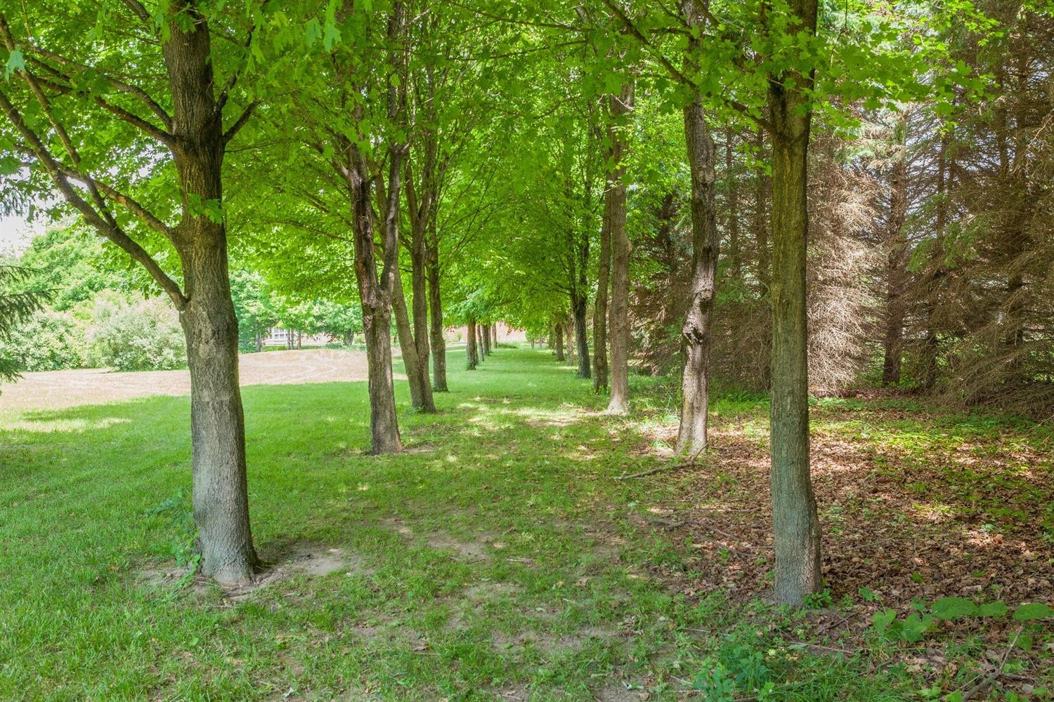 5471 South Maple Road Ann Arbor, MI 48108 - Photo 4 of 10 Photo 4