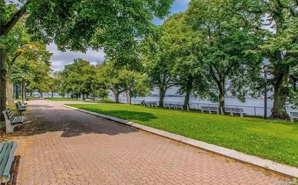 a view of a park with large trees