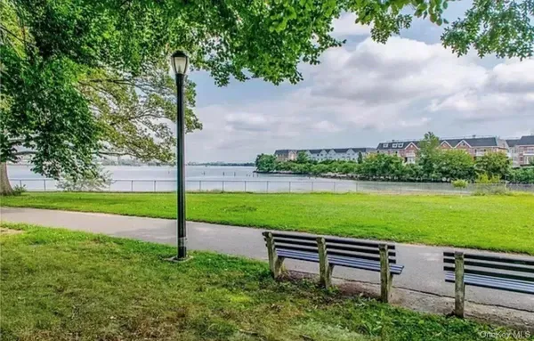 a view of a park with large trees