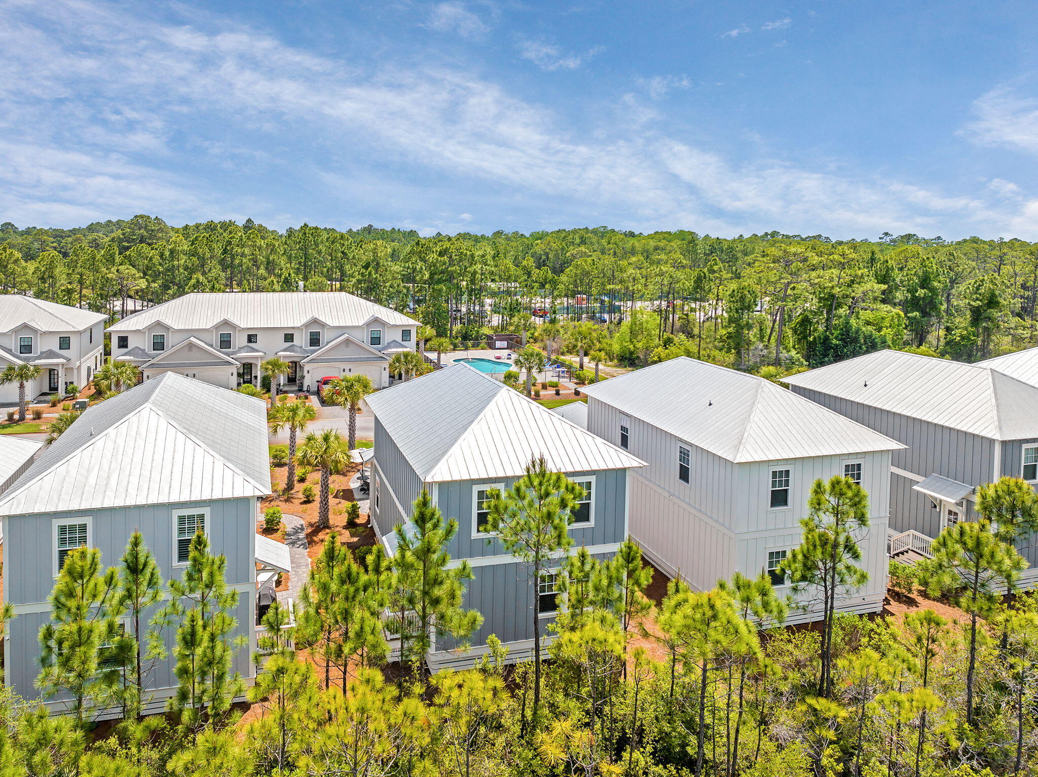 74 Heron's Crossing Santa Rosa Beach, FL 32459 - Photo 25 of 41 an aerial view of a house with a garden and plants
