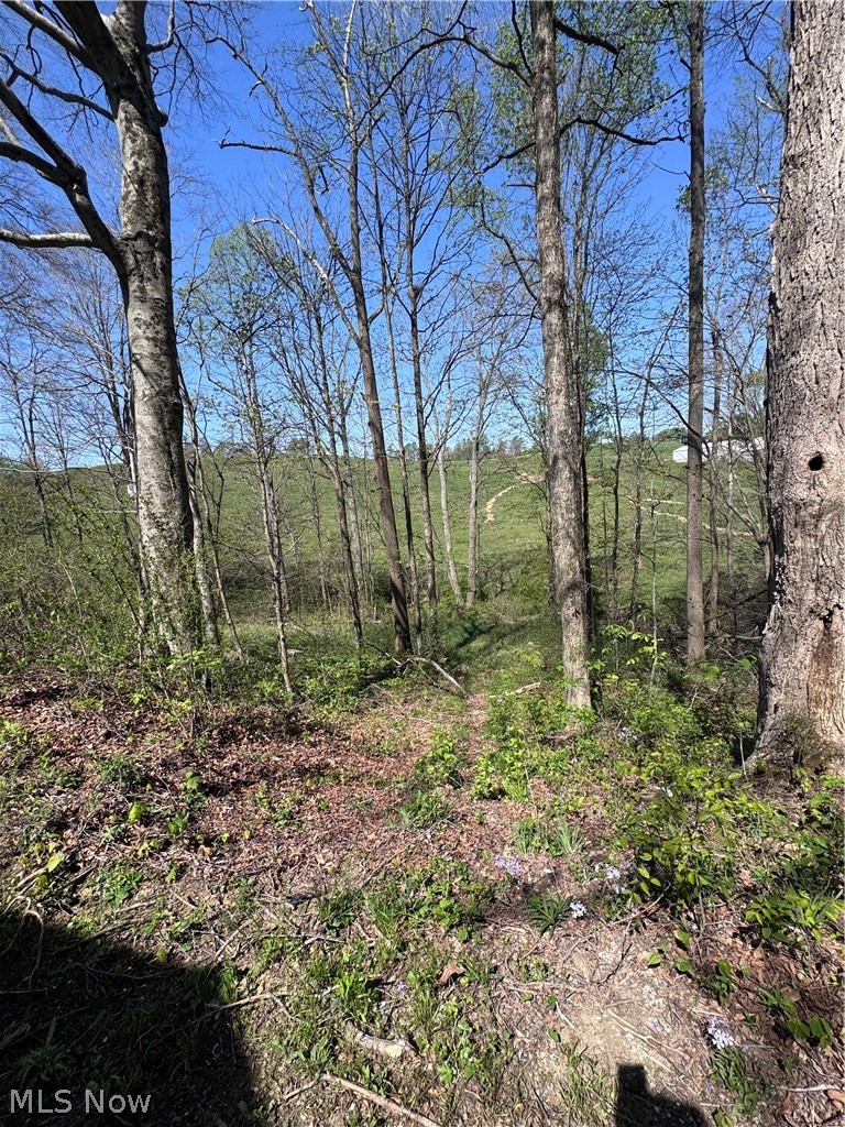 397 South Elliott Road Malta, OH 43758 - Photo 12 of 37