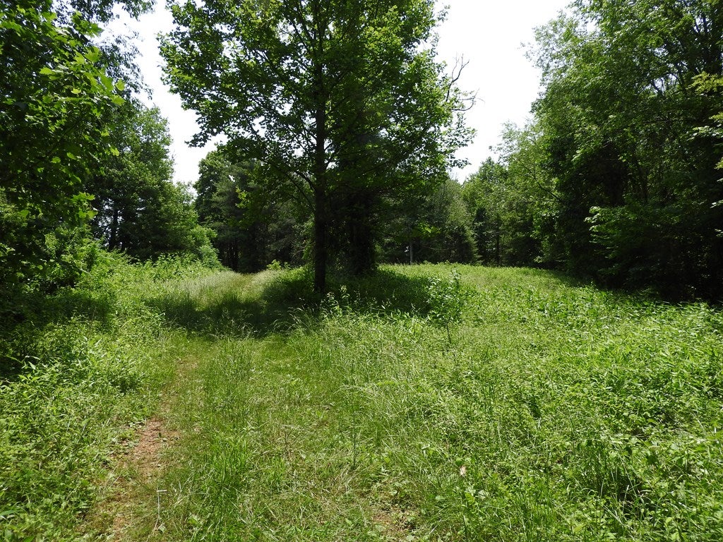 Tbd Bainbridge Road Fries, VA 24330 - Photo 11 of 23 Gallery Image 11