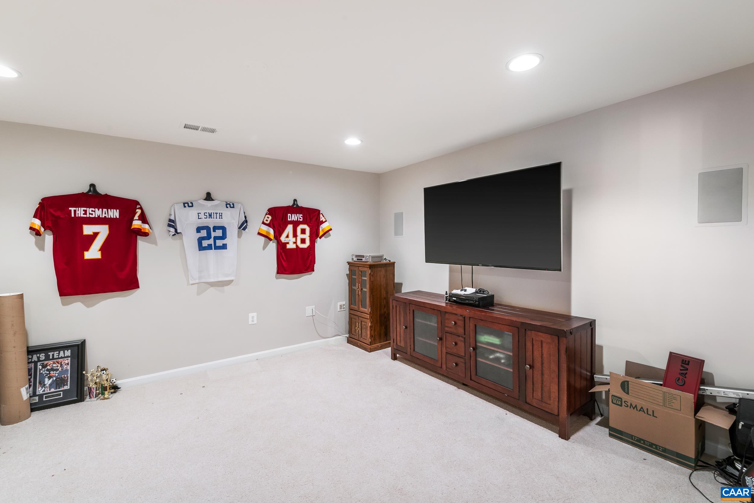 329 John Rucker Drive Ruckersville, VA 22968 - Photo 52 of 75 Media Room