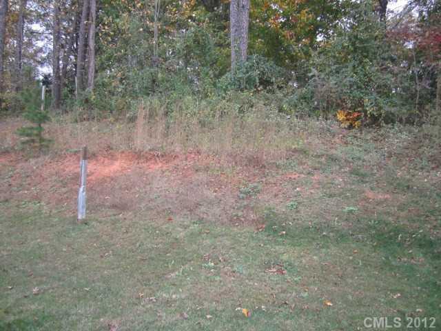 4908 Elizabeth Road Charlotte, NC 28269 - Photo 16 of 16 a view of a yard with a tree