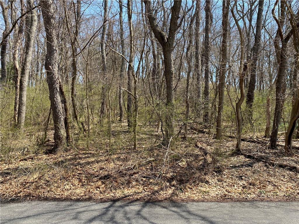 51 Newgate Road Pittsburgh, PA 15202 - Photo 24 of 25 Wooded 2nd parcel