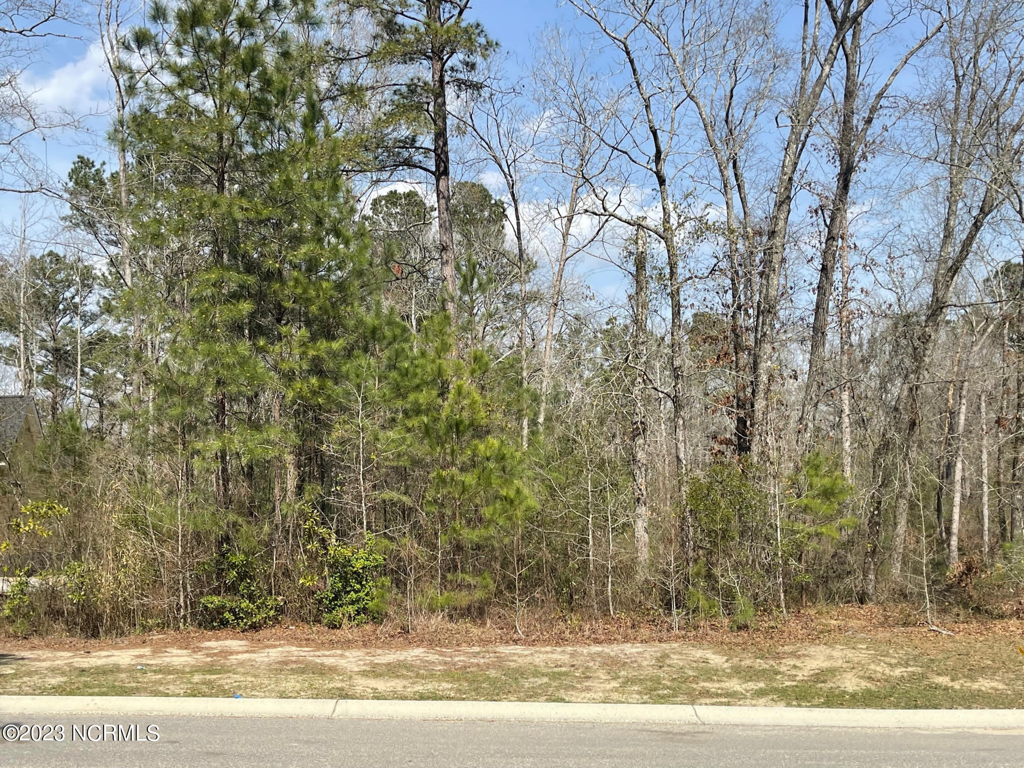 9679 Red Raspberry Road Leland, NC 28451 - Photo 1 of 30 Tommy 2