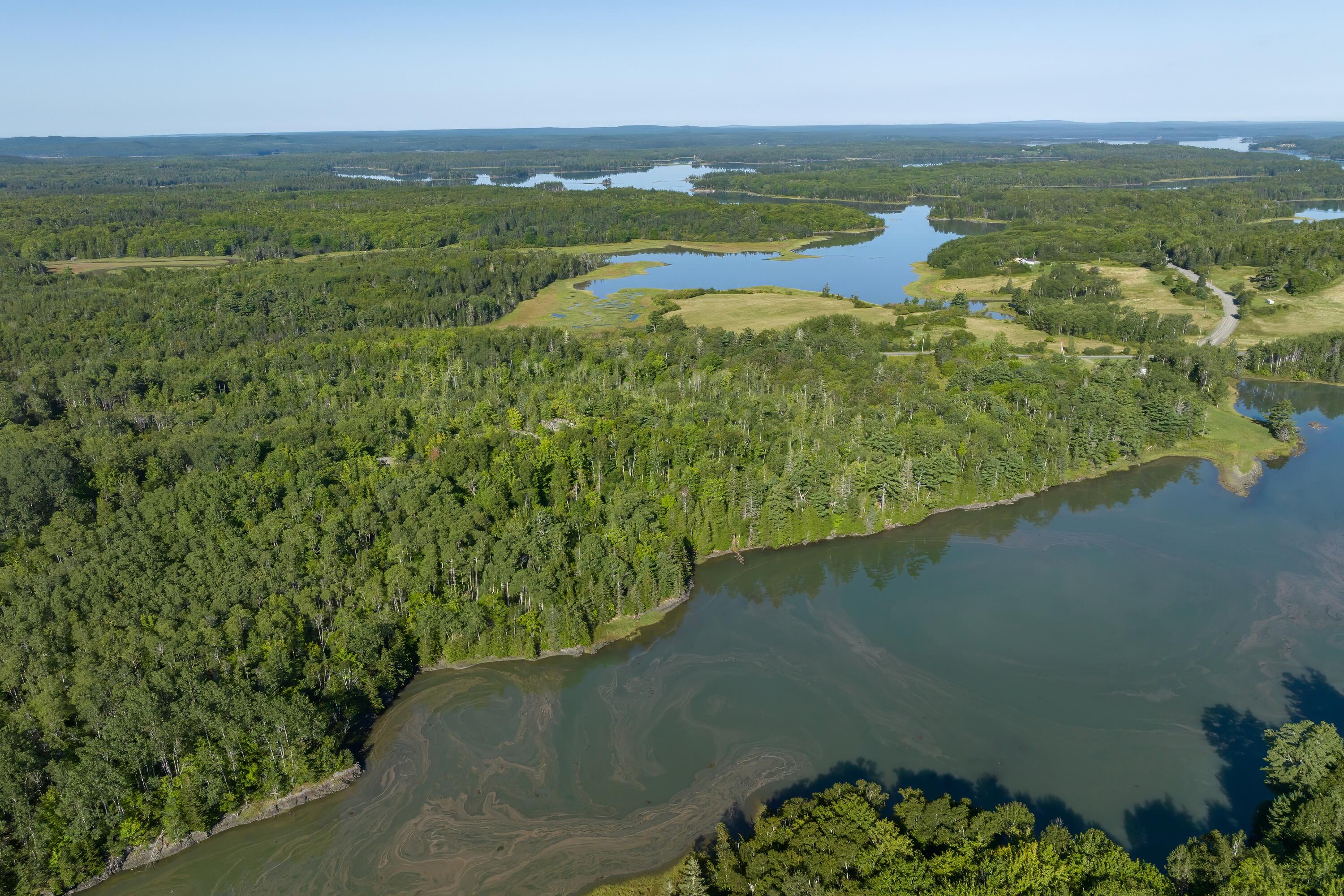 Lot 12 Straight Bay Road Lubec, ME 04652 - Photo 21 of 42 21- Lot 12-B Straight Bay Road HiRes-DTP
