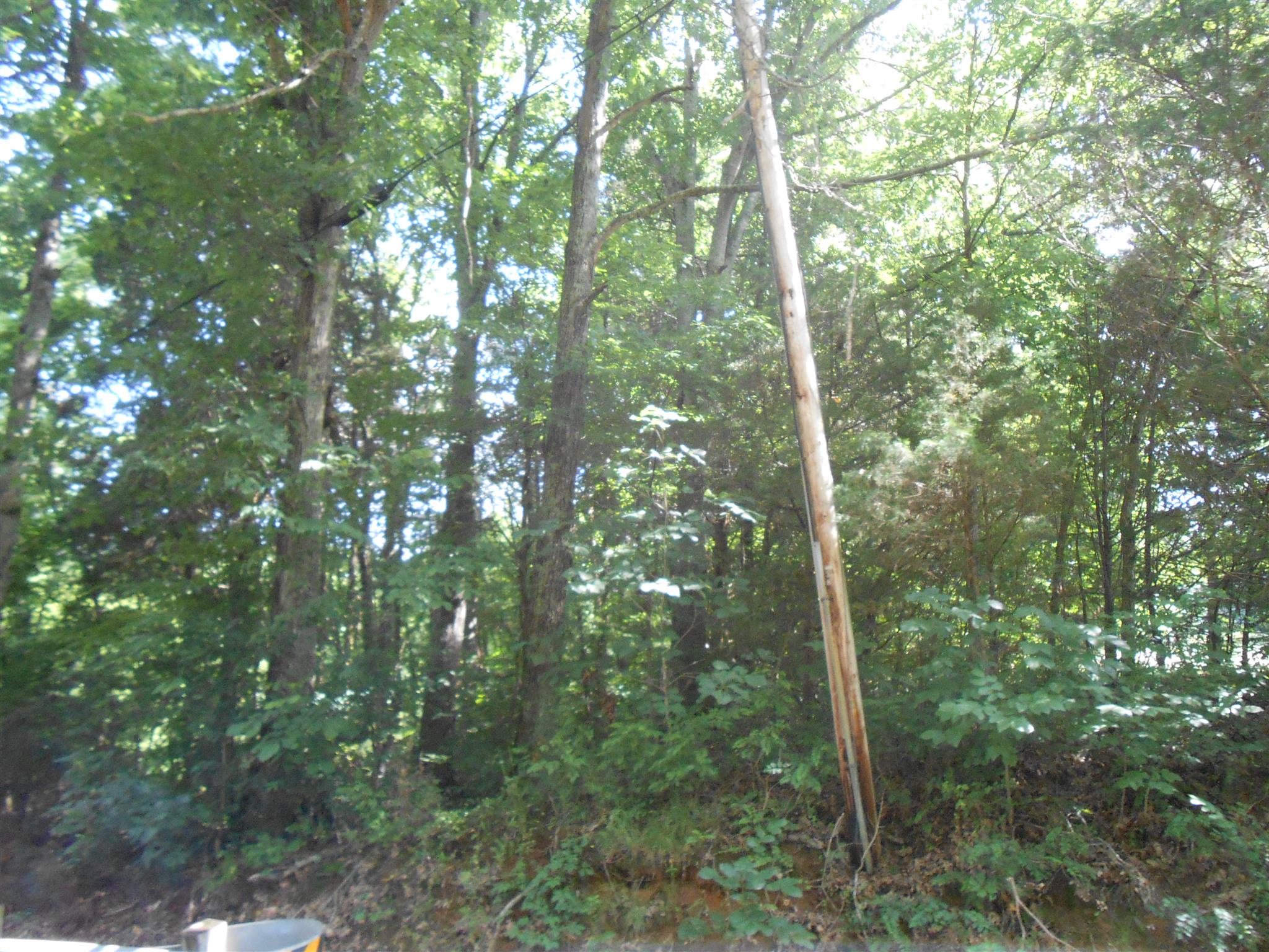 0 Cannon Road Wartrace, TN 37183 - Photo 14 of 19 Gallery Image 14