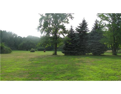 Yard/Garden. 