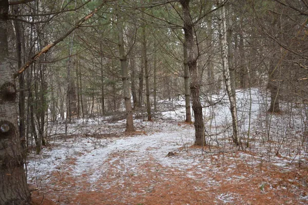 $99,000 | 58 East, Lowell, VT 05847